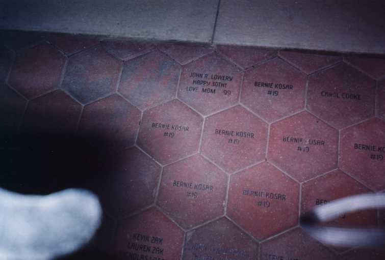 Browns bricks2.jpg (24765 bytes)